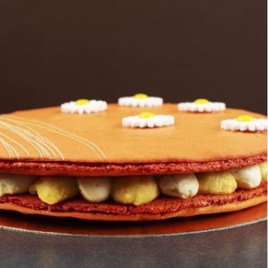 Macaron mangue passion...